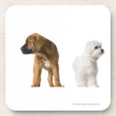 Suche nach babytier untersetzer Tiere