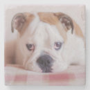 Suche nach englische bulldoggen untersetzer Hund