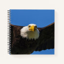 Suche nach adler kleine notizbücher Raubvogel