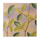 Suche nach grün gelb fliesen Braun