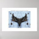 Suche nach stumpf poster Fantasie