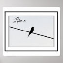 Suche nach drähte poster Vogel