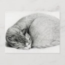 Suche nach kitten postkarten Haustier