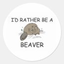 Suche nach biber aufkleber Pfadfinder