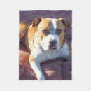 Suche nach pitbull decken Tier
