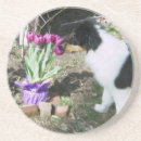 Suche nach pup untersetzer Blume