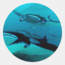 Suche nach manta aufkleber Strahl
