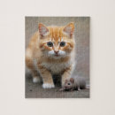 Suche nach lustige mäuse puzzle Kätzchen