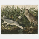 Suche nach schwarze vögel decken Vogel