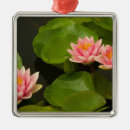 Suche nach seerose ornamente Natur