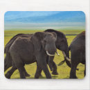 Suche nach wildtiere mousepads Tierwelt