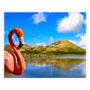 Suche nach tropische landschaft poster Tierwelt