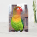 Suche nach parakeets Geburtstag