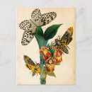 Suche nach nymphe postkarten Vintag