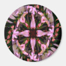 Suche nach der frühling magnete Rosa