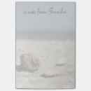Suche nach muscheln post it Natur