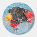 Suche nach dobermann magnete Pinscher