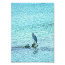 Suche nach freier denker poster Wasser