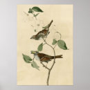 Suche nach victorian decor poster Birds