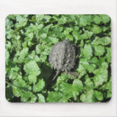 Suche nach für baby mousepads Grün