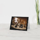 Suche nach adoptiert karten Tag