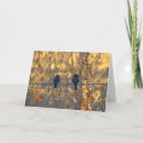 Suche nach zwei tiere karten Für sie