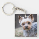 Suche nach inländisch schlüsselanhänger Hund