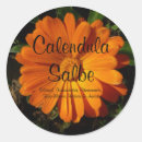 Suche nach kein verkäufer aufkleber Verkaufen