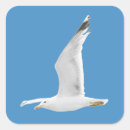 Suche nach möwe aufkleber Seegras