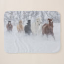 Suche nach pferde schnee decken Winter