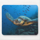 Suche nach schildkröte mousepads Galapagos