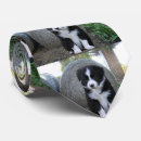 Suche nach collie krawatten Grenze
