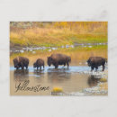 Suche nach crossing postkarten Herbst