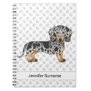 Suche nach dapple Dachshund