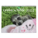 Suche nach raccoon kalender Tiere