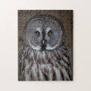 Suche nach stehend puzzle Vögel