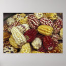 Suche nach mais poster Gemüse