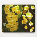 Suche nach orchideen blumen mousepads Natur