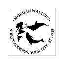 Suche nach delphin im ozean teller Meer