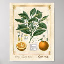 Suche nach vintage küche poster Orange