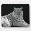 Suche nach weiße tiger mousepads Große katzen