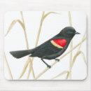 Suche nach amsel mousepads Schwarzer vogel