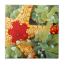 Suche nach seestern fliesen Riff