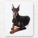 Suche nach pinscher mousepads Welpe