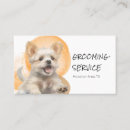 Suche nach hundezucht visitenkarten Grooming