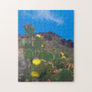 Suche nach kakteen puzzle Wüste