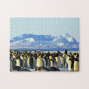 Suche nach pinguin puzzle Rätsel