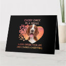 Suche nach walisisch karten Hunde