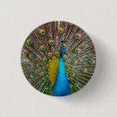 Suche nach blauer pfau buttons Gold