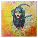 Suche nach hund fliesen Dackel